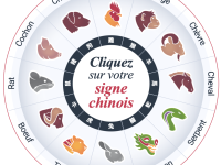 Votre année 2026 gratuit selon l'horoscope chinois 