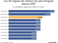 Canicule : la vague de chaleur qui frappe la France depuis le 28 juillet a dépassé en durée celle de 2003, annonce Météo-France