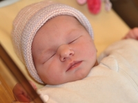 CARNET ROSE - Bienvenue à Sophie 