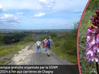 La Société de Sciences Naturelles et Mycologiques de Chalon-sur-Saône organise gratuitement une sortie botanique aux carrières de Chagny-Remigny