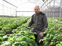 Le nombre d’hectares cultivés en bio diminue en Bourgogne-Franche-Comté mais les acteurs se mobilisent pour inverser la tendance 