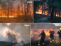 2 Canadair mobilisés en Seine-et-Marne pour lutter contre l'incendie en forêt de Fontainebleau