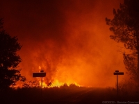 Incendies en Gironde et dans les Landes :  la Fondation du patrimoine lance  une collecte d'urgence