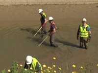 Après les inondations liées à une fuite du Canal du Centre à Chagny, l'heure est au repérage 