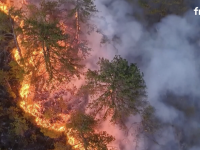 Bosnie, Turquie, Chypre, Portugal... Le sud de l'Europe sévèrement touché par les flammes