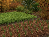 Ce geste d'automne qui transformera votre jardin au printemps