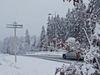 Dans le Jura ce jeudi matin, la neige est bien tombée 