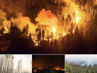 En Patagonie, les pires feux de forêts depuis des décennies 