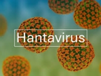 Hantavirus : la demande de masques FFP2 multipliée par cinq en une semaine