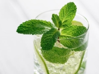 Un sirop de menthe 100% fraîcheur - Info-beaune.com vous donne la recette 