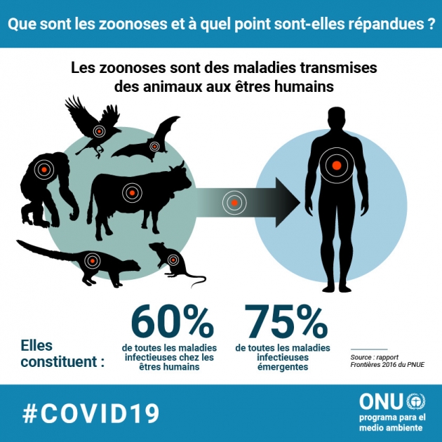 Recenser Et Prioriser Les Zoonoses Une Nouvelle tude Lanc e En recenser-et-prioriser-les-zoonoses-une-nouvelle-tude-lanc-e-en