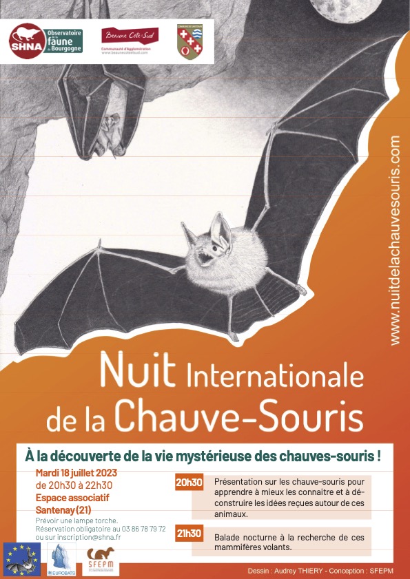 Nuit Internationale de la Chauve-souris le mardi 18 juillet à Santenay