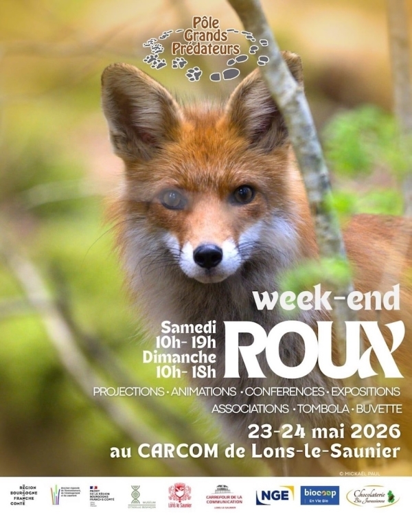 Dans l’intimité du renard : un week-end pour tout comprendre à Lons-le-Saunier