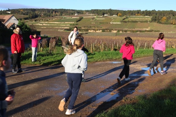 Course jeune : Plus de 1 700 km parcourus par les enfants dans les vignes de Beaune