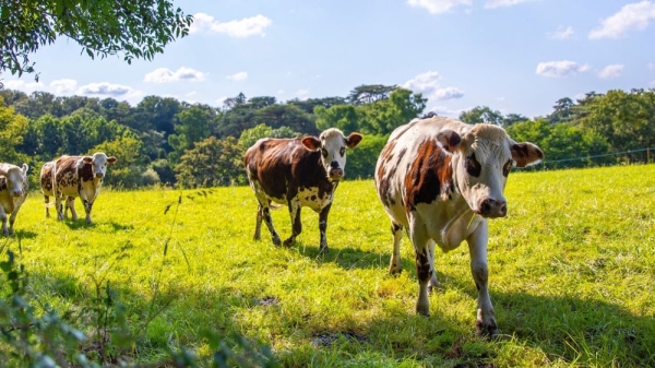 L’État accompagne les agriculteurs face aux crises :  plus d’1 million d’euros versé en soutien aux agriculteurs de Côte-d’Or