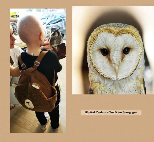 Les Chouettes du Cœur déploient leurs ateliers au CHU Dijon Bourgogne grâce au soutien de l’ADPS