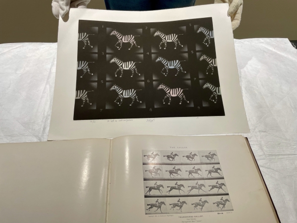 Musée des Beaux-Arts de Beaune - Série « Trésors cachés » :  Mario Avati, maître de la lumière noire : un trésor caché du Musée des Beaux-Arts de Beaune