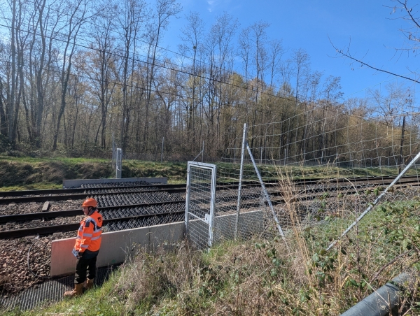 Eviter que les trains ne croisent la faune sauvage 