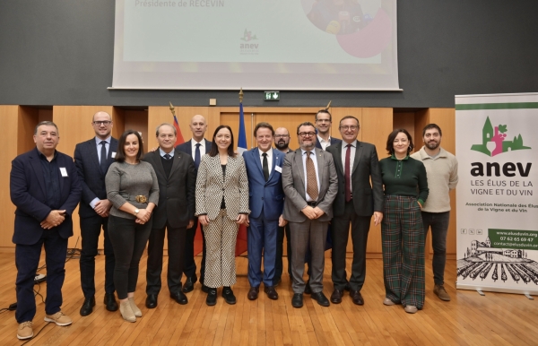 L’ANEV et RECEVIN unissent leurs forces pour les territoires viticoles européens