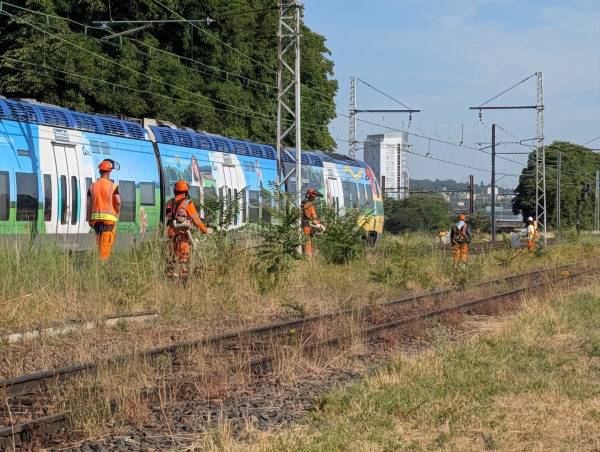 Au bord des voies ferroviaires, la sécurité est assurée 