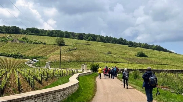 Villers-la-Faye - Les SACADO de Beaune donnent rendez-vous le 4 octobre pour leur 28e Rando Vignes et Sentiers