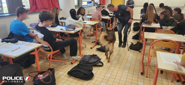 Dijon – Opération de sécurisation au lycée : la brigade cynophile découvre de la résine de cannabis