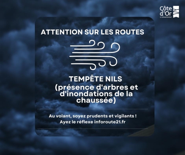 Impact de la tempête Nils en Côte-d’Or