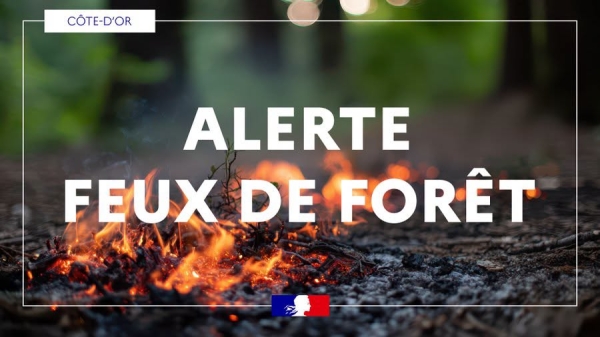 Couchey - Un important feu de forêt mobilise plus de 100 pompiers