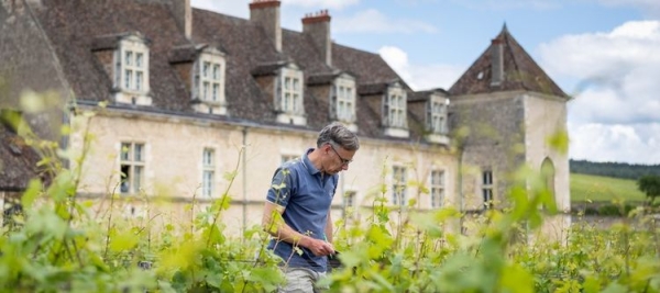 Le Domaine Méo-Camuzet acquiert des vignes à Volnay et Pommard