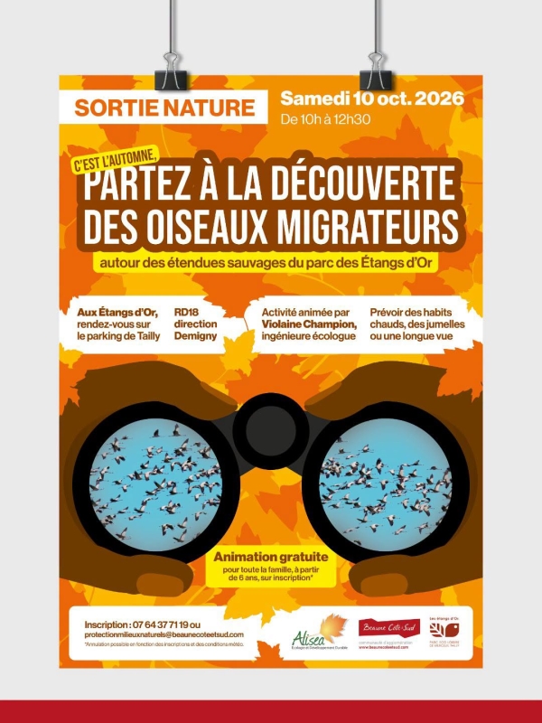 Beaune Côte & Sud – Une sortie nature aux Étangs d’Or pour observer les oiseaux migrateurs