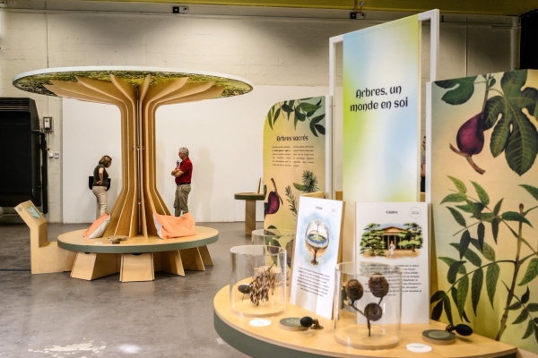 Dijon - L’automne avec le Jardin de l'Arquebuse : des rendez-vous pour explorer la nature autrement