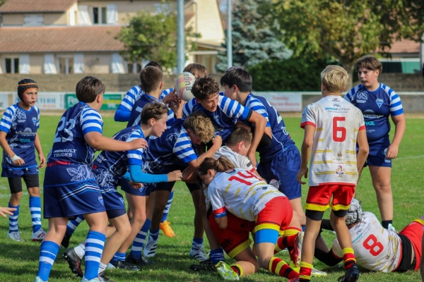 Beaune – Rugby : sept victoires en huit matchs, le CSB en grande forme