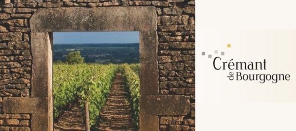 AOC Crémant de Bourgogne : son rôle moteur dans l’économie viticole régionale