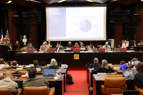 Bourgogne - Assemblée plénière du CESER : entre inquiétudes institutionnelles et enjeux d’avenir