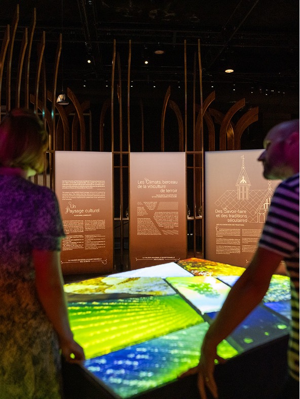 Beaune – Patrimoine, nature et saveurs : juillet s’annonce riche à la Cité des Climats