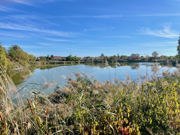 Beaune - La Ville acquiert le lac Joigneaux pour 130 000 euros et prépare son ouverture au public