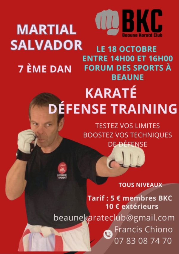 Beaune - Stage exceptionnel avec Martial Salvador : karaté et défense training