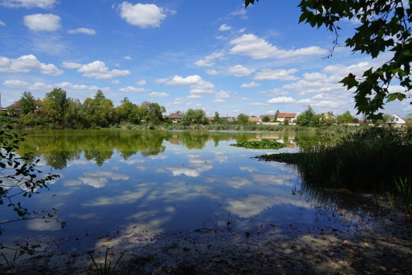 Beaune - La Ville préempte le lac Joigneaux pour en faire un grand site de loisirs naturel