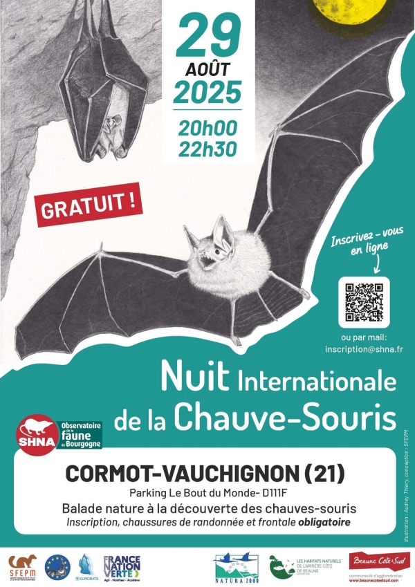 À la découverte des reines de la nuit : la Nuit de la Chauve-souris au Cirque du Bout du Monde