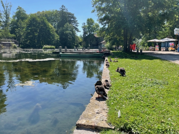 Municipales 2026 à Beaune - Le face-à-face des programmes (3/8) : quelle ville plus verte et quelles mobilités pour demain ?