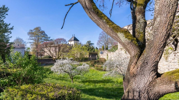 Beaune - Quand les arbres racontent l’histoire des remparts