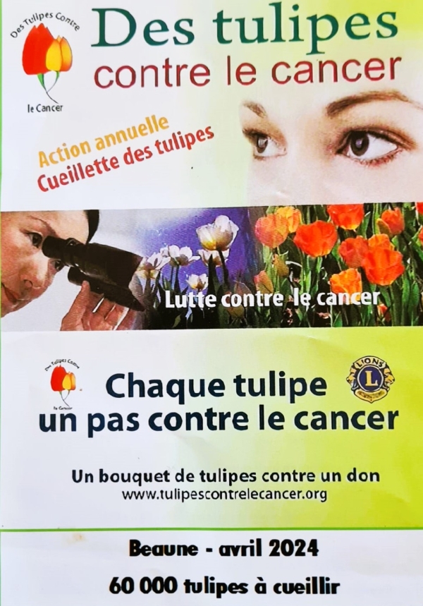 Beaune - En avril, les tulipes du Lions Club fleurissent contre le cancer