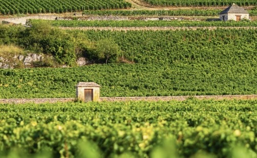 Beaune/Dijon – Les Climats du vignoble de Bourgogne fêtent leurs 10 ans d’inscription à l’UNESCO avec un grand colloque