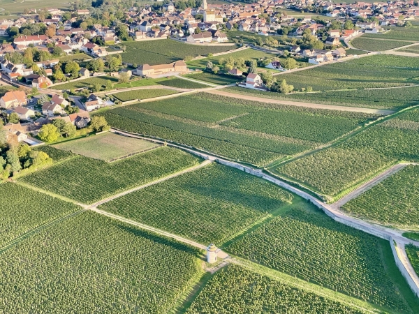 Vins de Bourgogne : stabilité, stratégie et audace dans un contexte incertain