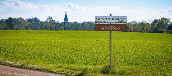 L’AOC Crémant de Bourgogne peut désormais revendiquer ses lieux-dits !