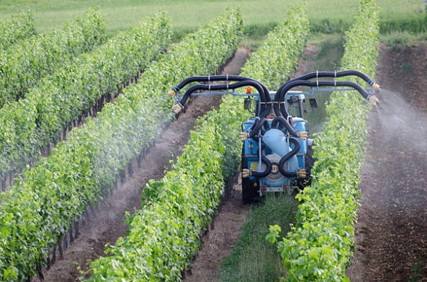 PestiRiv confirme l’évidence : vivre près des vignes expose davantage aux pesticides
