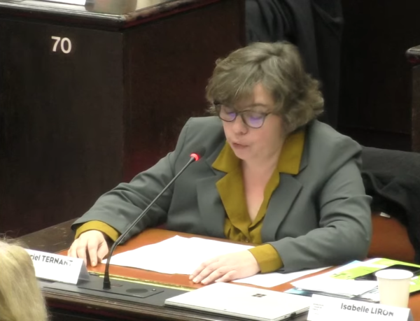 Région - Muriel Ternant : « Une présidence fidèle à l’éthique, une région rempart face aux crises »