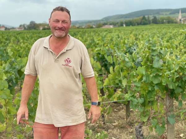 Bourgogne - Vendangeurs sous tente : « Une bonne nouvelle pour 2027 » selon Thiébault Huber