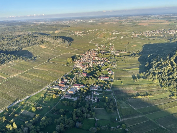 Vins de Bourgogne – 200 millions de bouteilles commercialisées, 1,74 milliard d’euros de chiffre d’affaires : les chiffres clés de la filière