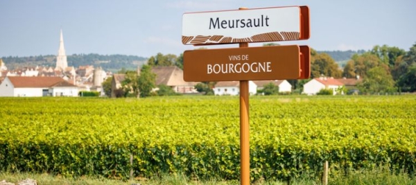 Visite présidentielle en Chine : 70 nouvelles AOP de Bourgogne enregistrées et protégées